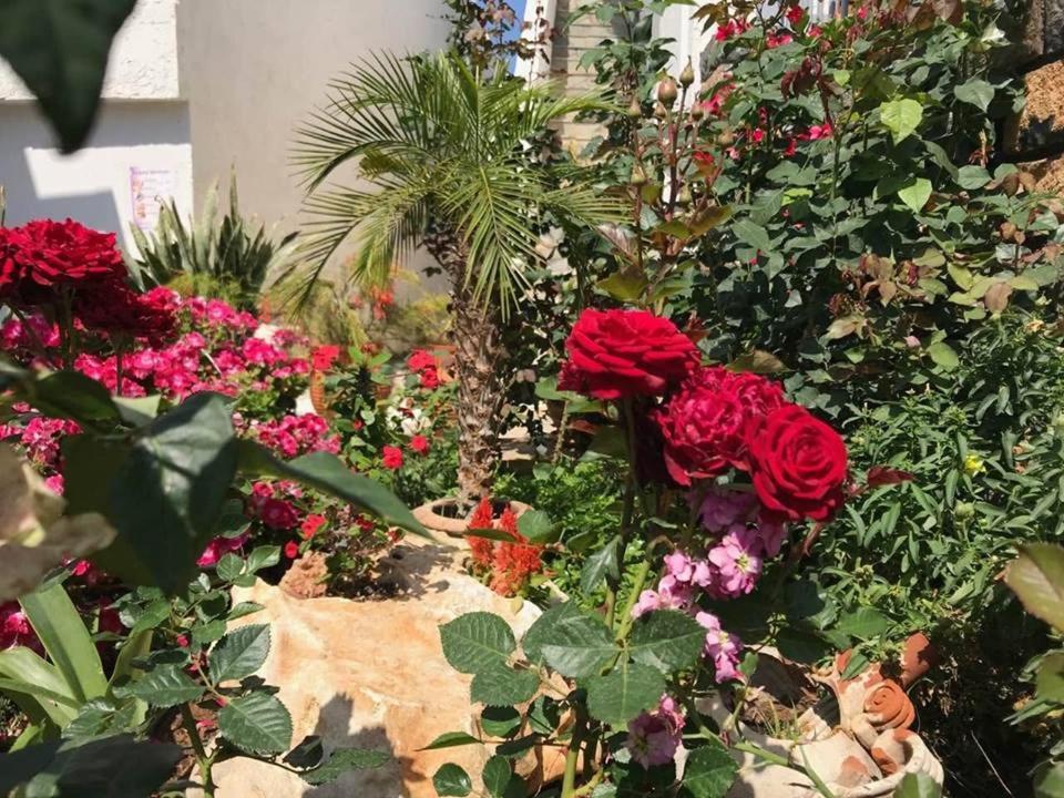 Athina Residence 렌타스 외부 사진